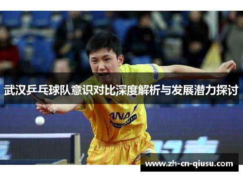武汉乒乓球队意识对比深度解析与发展潜力探讨